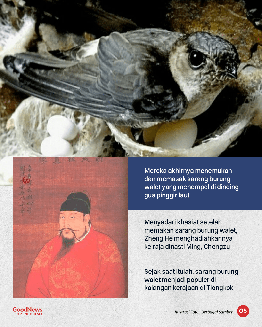 Asal Usul Sarang Burung Walet, Kuliner Indonesia yang Dihargai Triliunan Rupiah