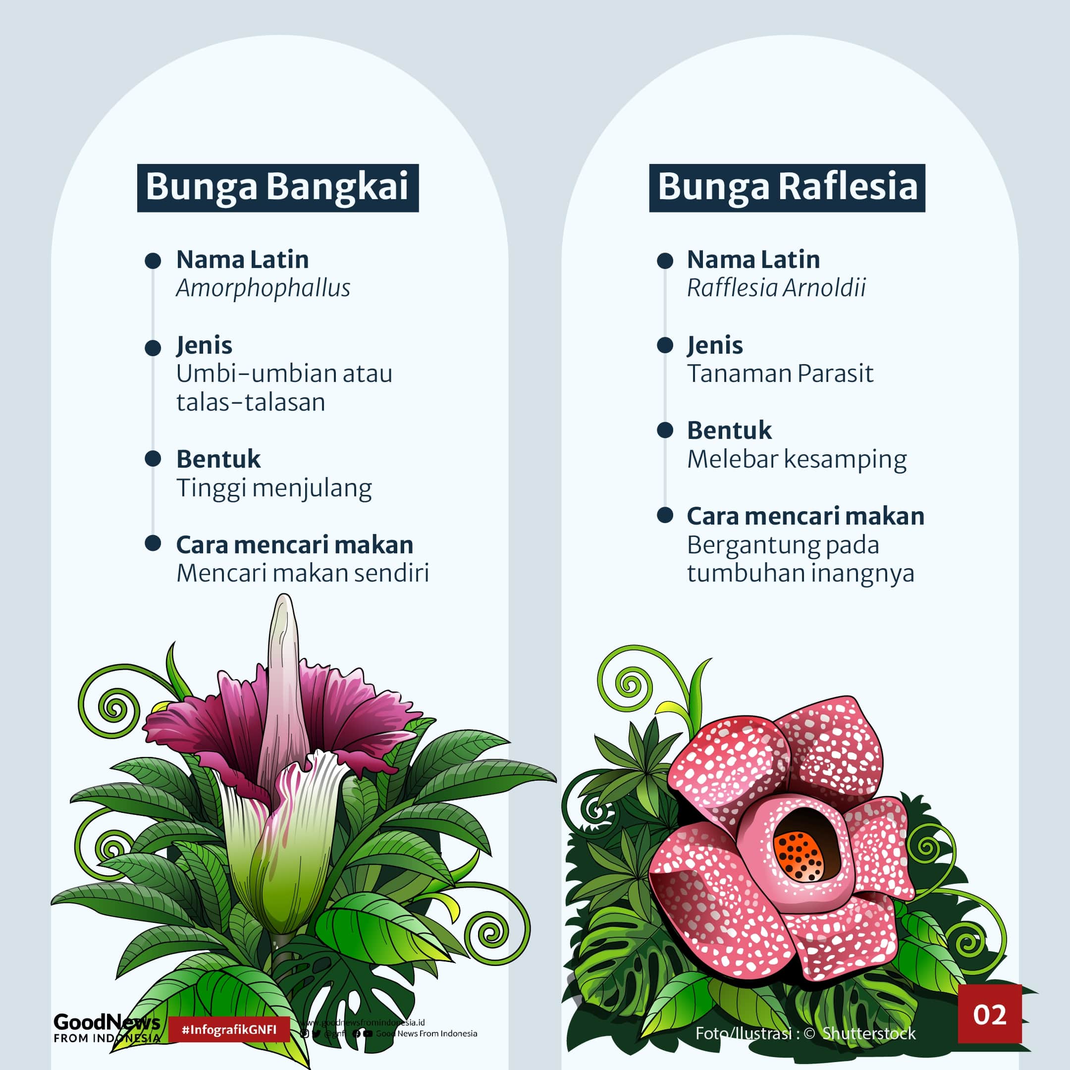 Bedanya Bunga Bangkai dan Raflesia
