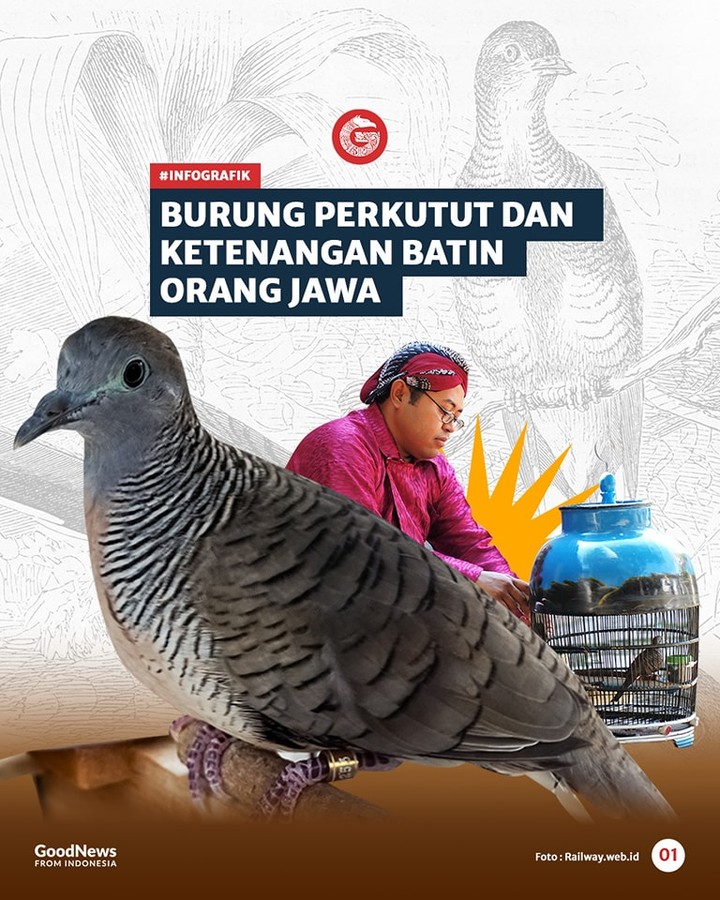 Burung Perkutut dan Ketenangan Batin Orang Jawa