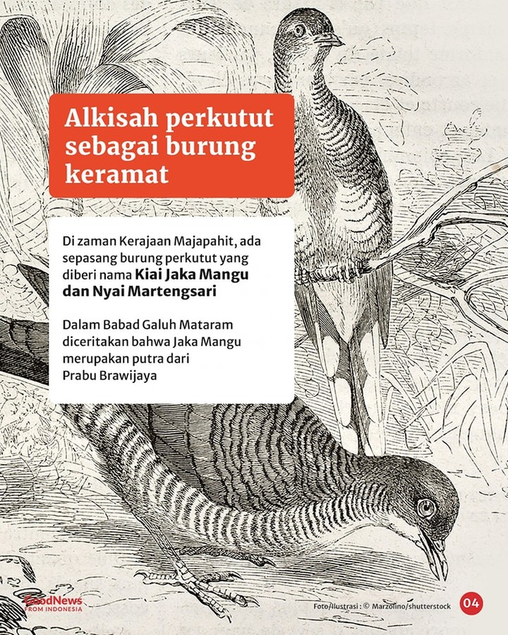 Burung Perkutut dan Ketenangan Batin Orang Jawa