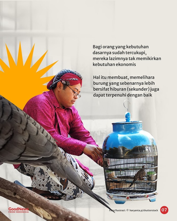 Burung Perkutut dan Ketenangan Batin Orang Jawa