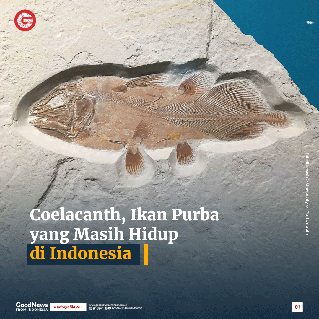 Coelacanth, Ikan Purba yang Masih Hidup di Indonesia