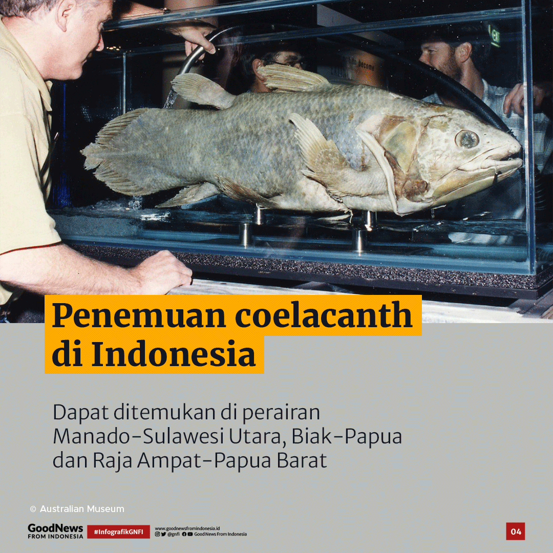 Coelacanth, Ikan Purba yang Masih Hidup di Indonesia