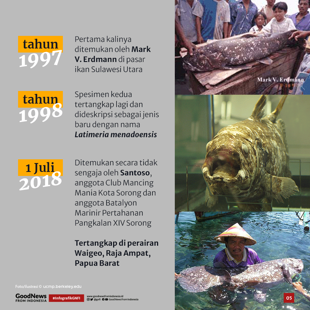Coelacanth, Ikan Purba yang Masih Hidup di Indonesia