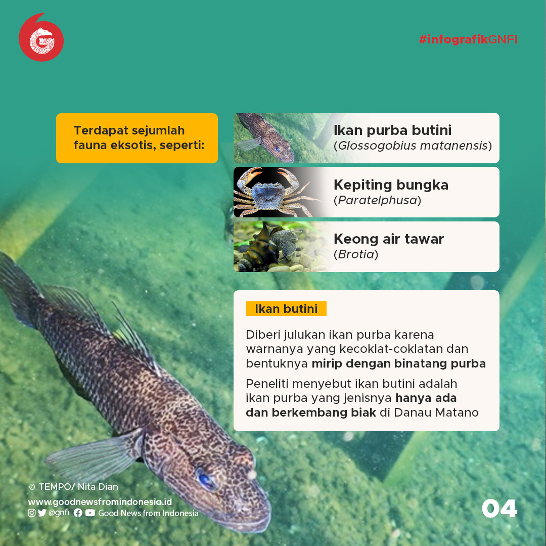 Danau Matano, Danau Terdalam di Asia Tenggara yang Dihuni Ikan Purba