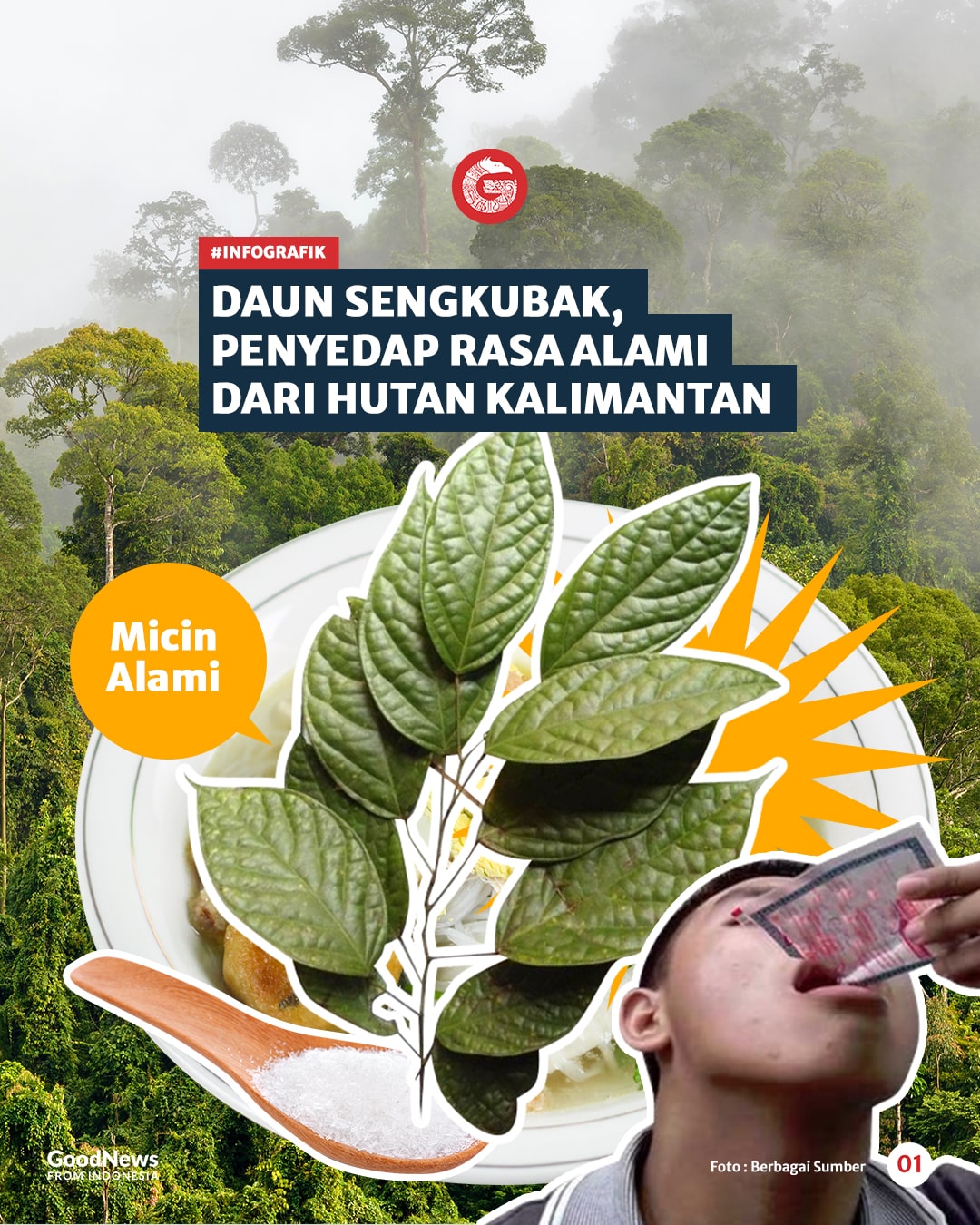 Daun Sengkubak, Penyedap Rasa Alami dari Kalimantan