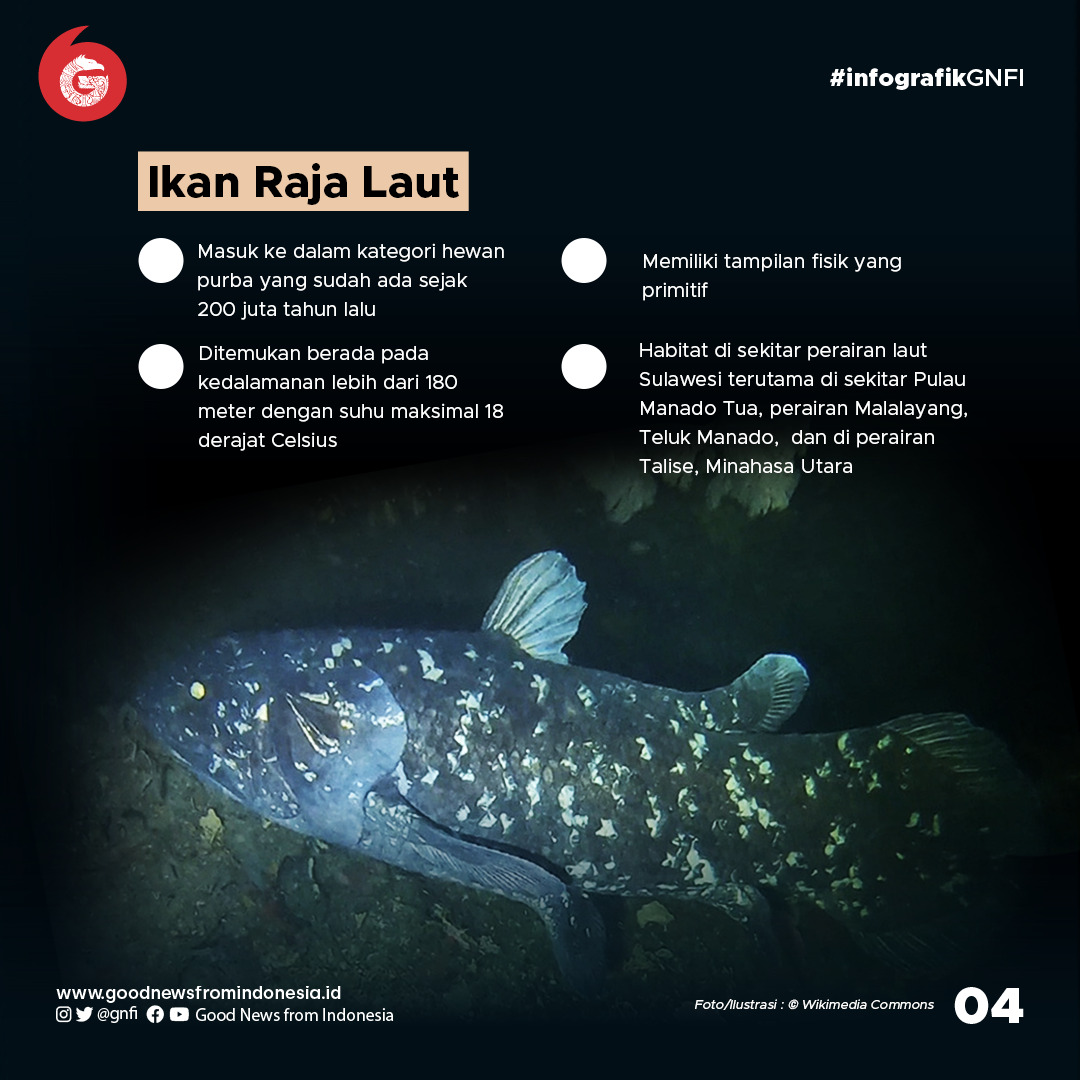 Deretan Hewan Laut Unik yang Ada di Perairan Indonesia