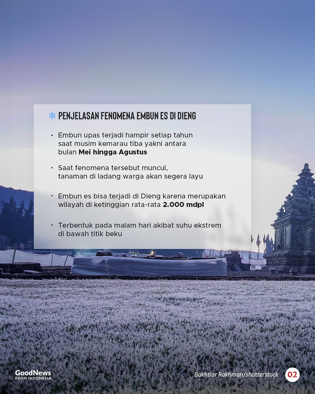 Fenomena Embun Es Selimuti Dataran Tinggi Dieng, Indah tapi Mengancam