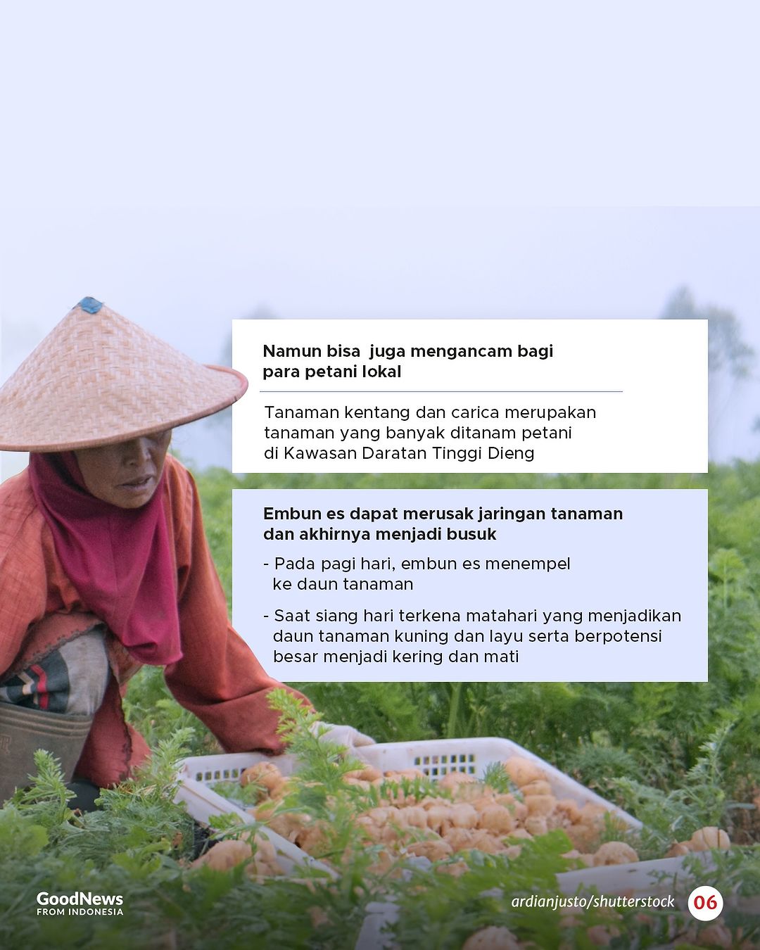 Fenomena Embun Es Selimuti Dataran Tinggi Dieng, Indah tapi Mengancam