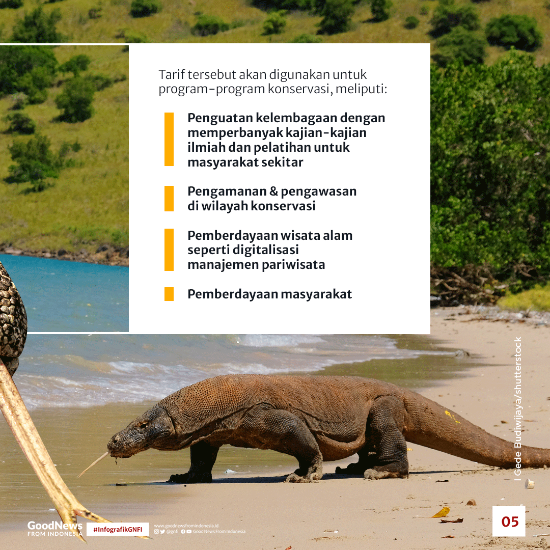 Ingin Masuk Taman Nasional Komodo? Siapkan Rp3,7 Juta