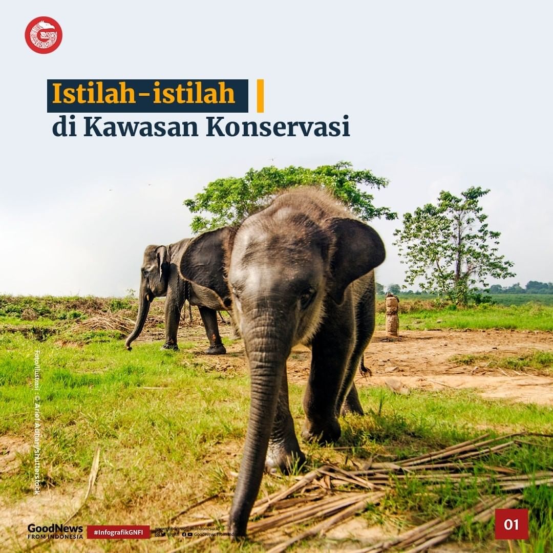 Istilah di Kawasan Konservasi yang Perlu Diketahui