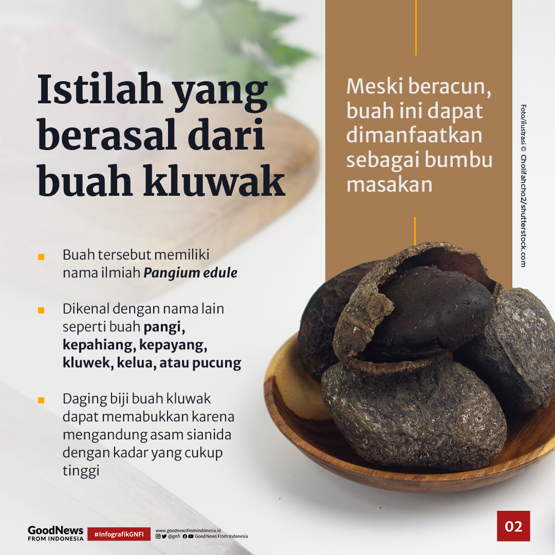 Istilah 'Mabuk Kepayang' Ternyata Berasal dari Buah Ini
