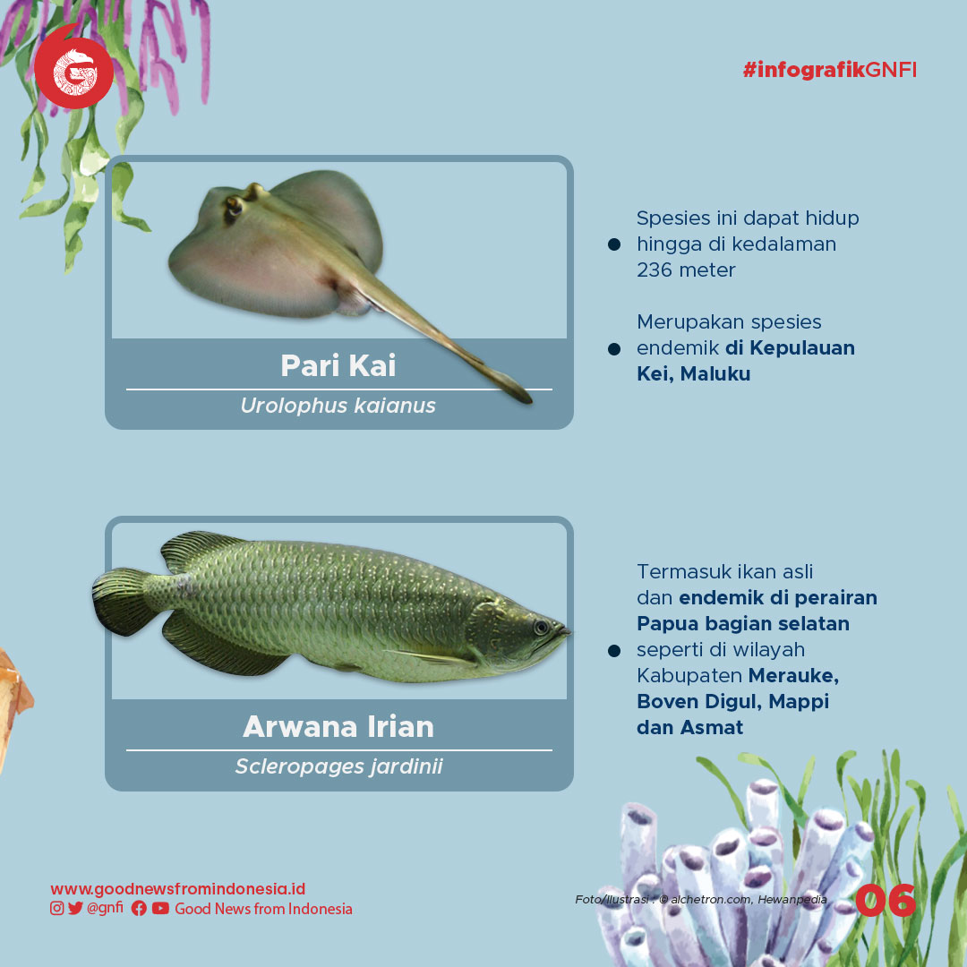 Jenis-Jenis Ikan yang Dilindungi di Indonesia (Bagian 2)