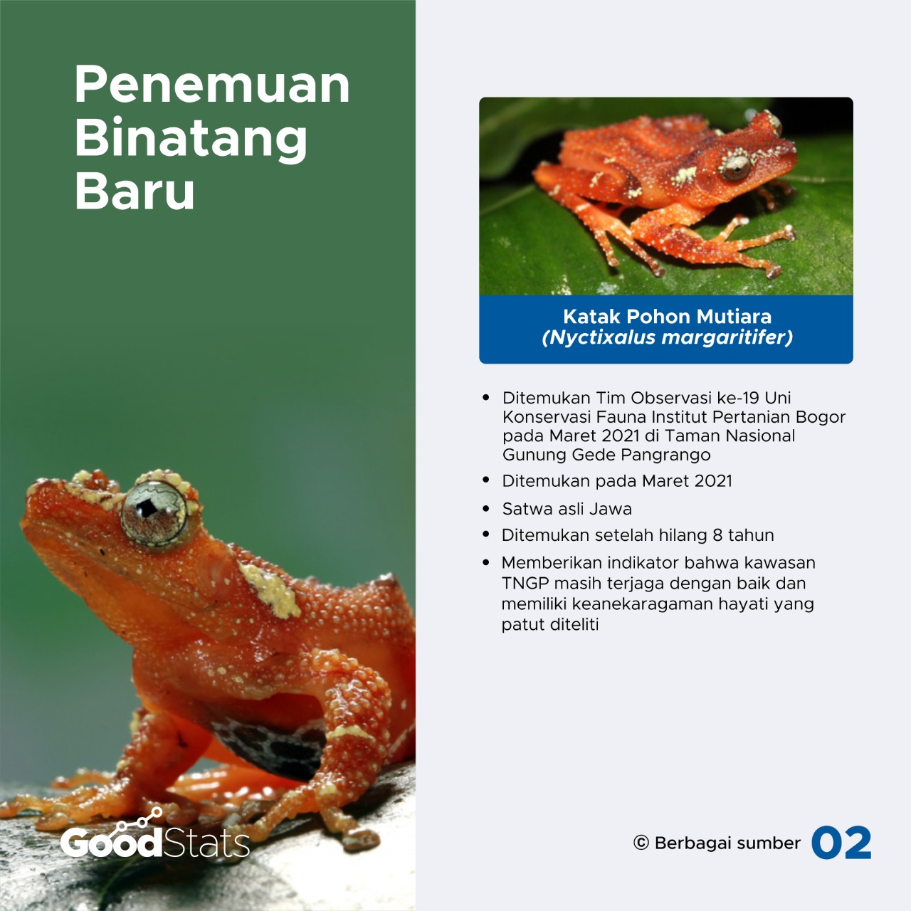 Kaleidoskop 2021: Cerita Tentang Manusia dan Alam Sepanjang 2021