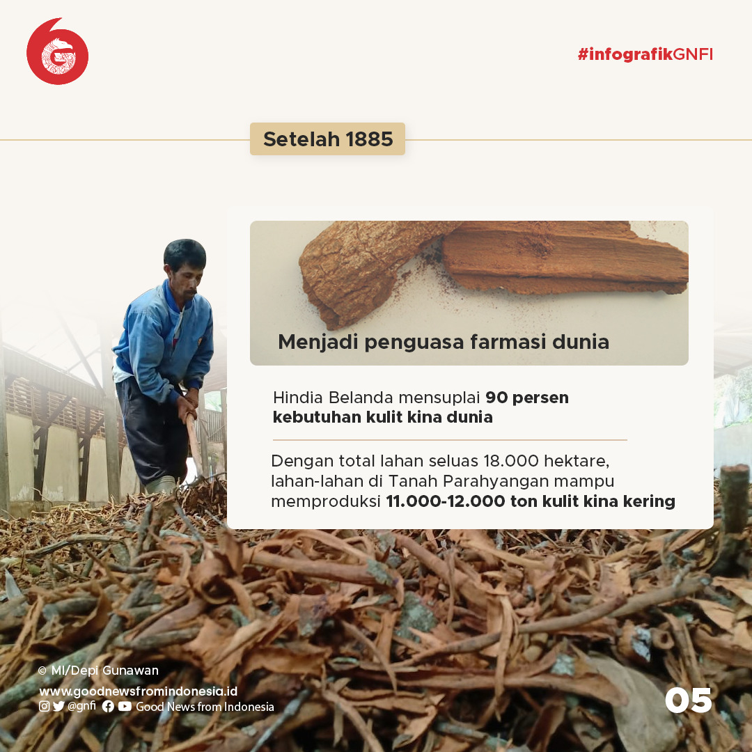 Kimia Farma yang Pernah Kuasai Pasar Farmasi Dunia