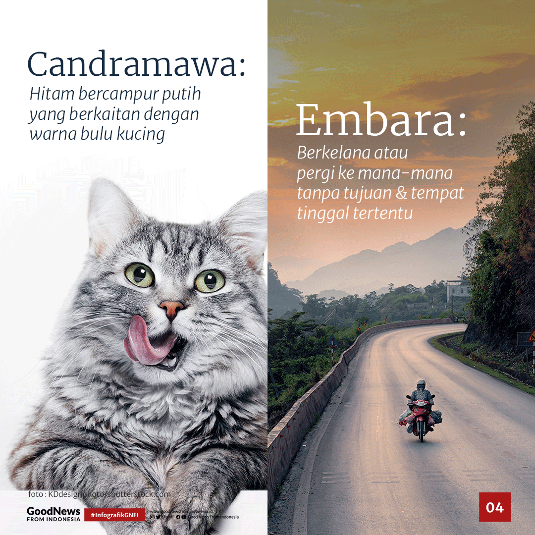 Kosakata Indah dalam Bahasa Indonesia yang Jarang Diketahui