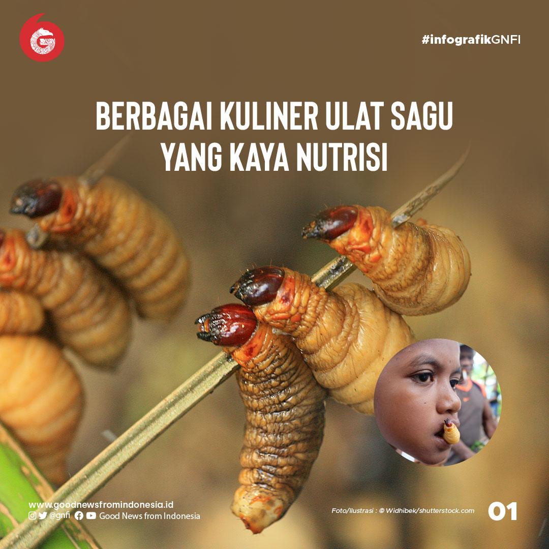 Kuliner Ulat Sagu yang Ternyata Kaya Nutrisi