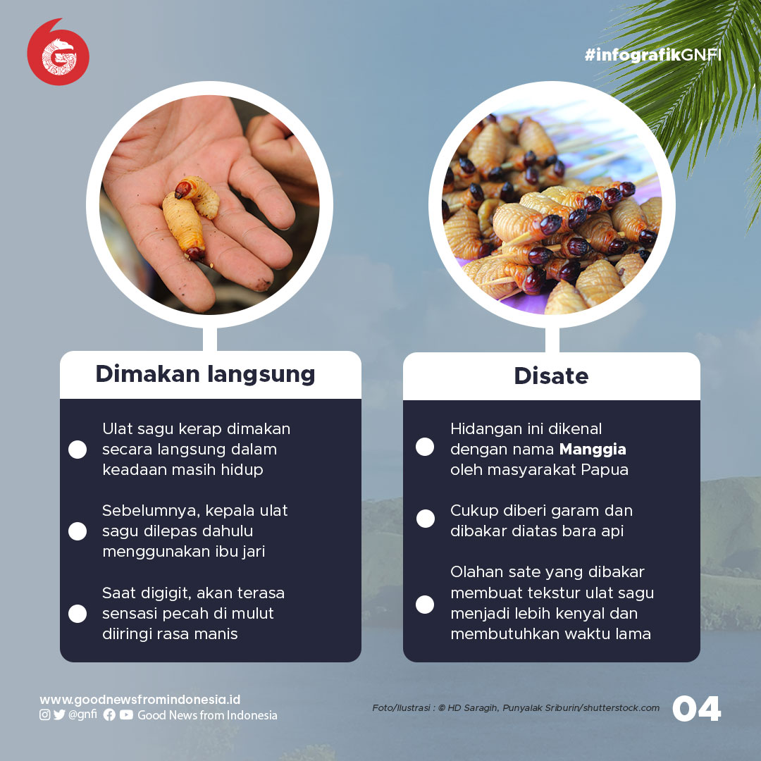 Kuliner Ulat Sagu yang Ternyata Kaya Nutrisi