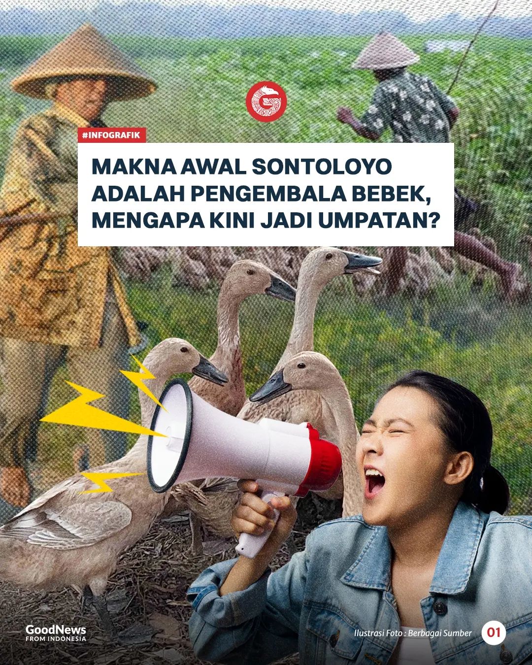 Makna Awal Sontoloyo adalah Pengembala Bebek, Mengapa Kini jadi Umpatan?