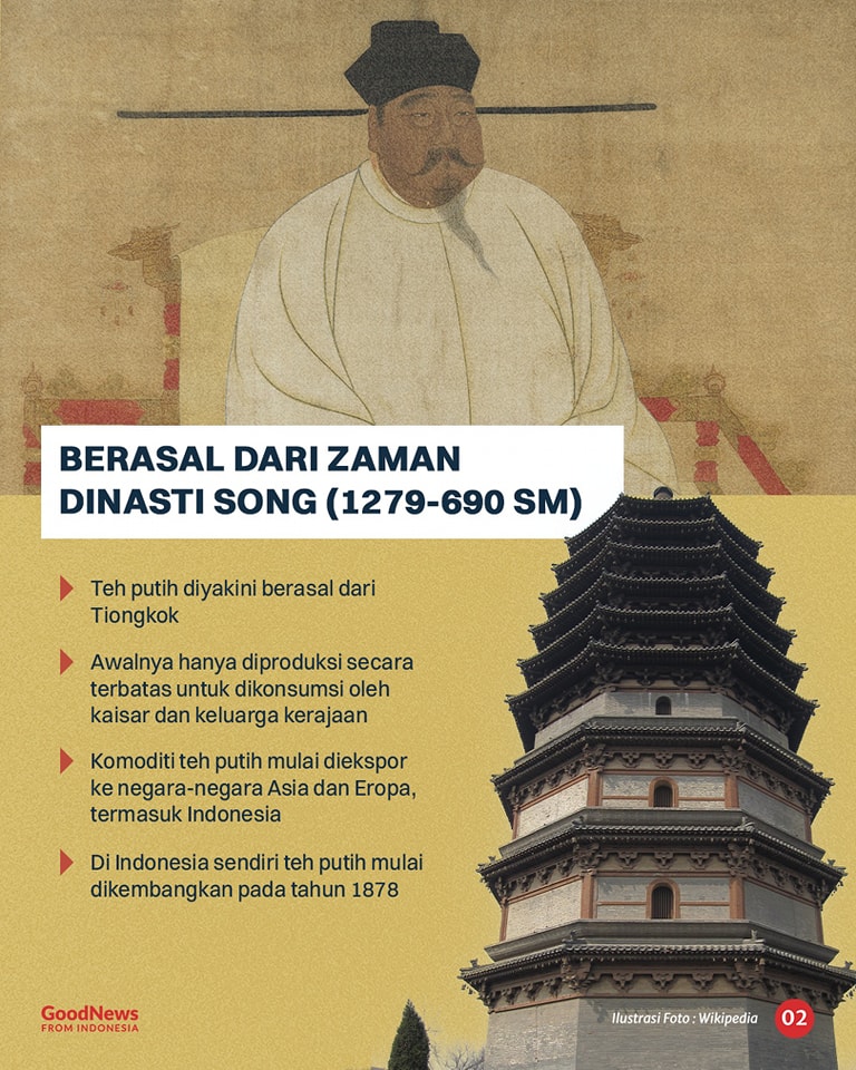 Mencicipi Teh Putih, Jenis Teh Termahal di Indonesia