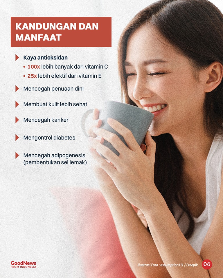 Mencicipi Teh Putih, Jenis Teh Termahal di Indonesia
