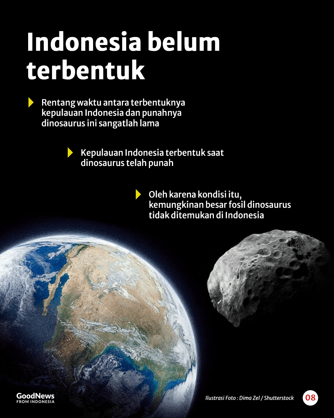 Mengapa Fosil Dinosaurus Tak Pernah Ditemukan di Indonesia