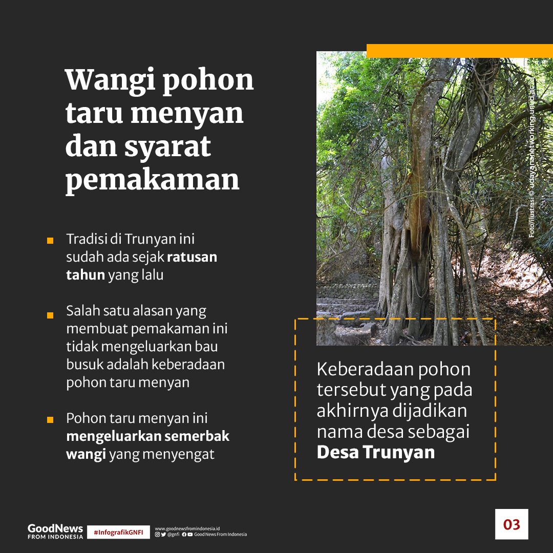 Misteri Pemakaman Trunyan, Kuburan Paling 'Wangi' di Bali