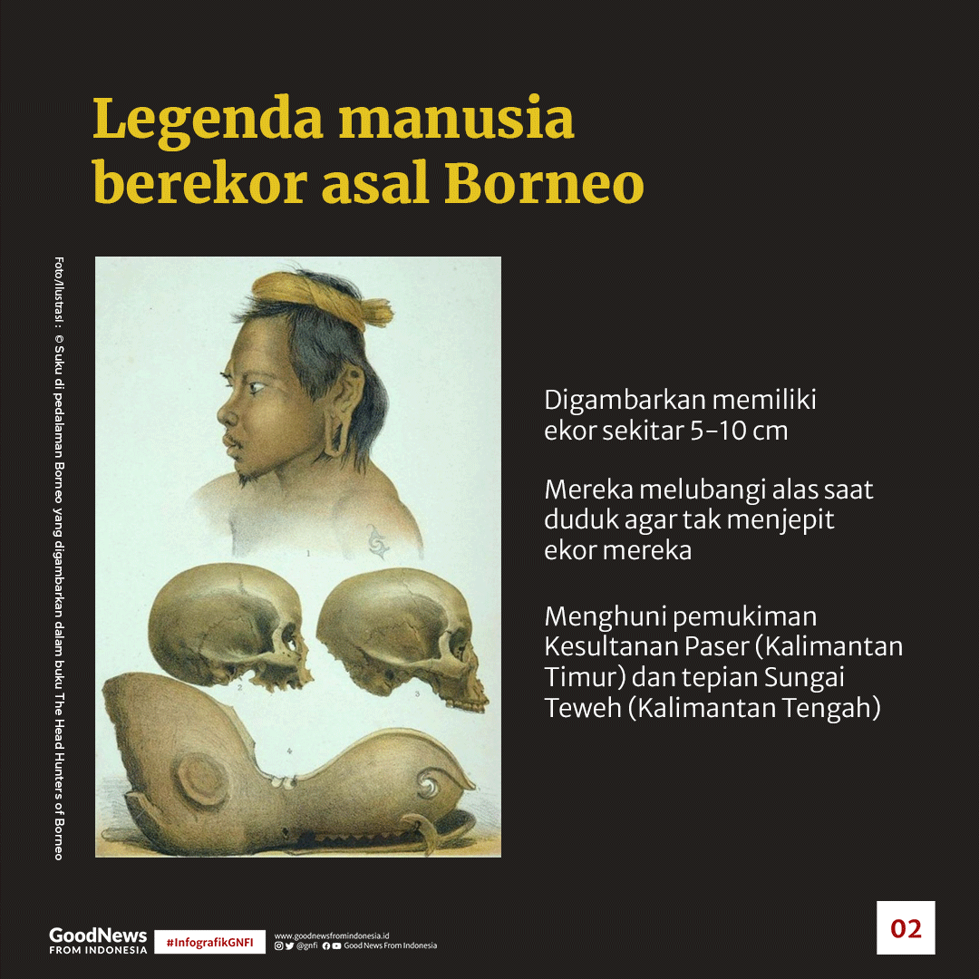 Orang Boentot, Legenda Manusia Berekor di Pedalaman Borneo