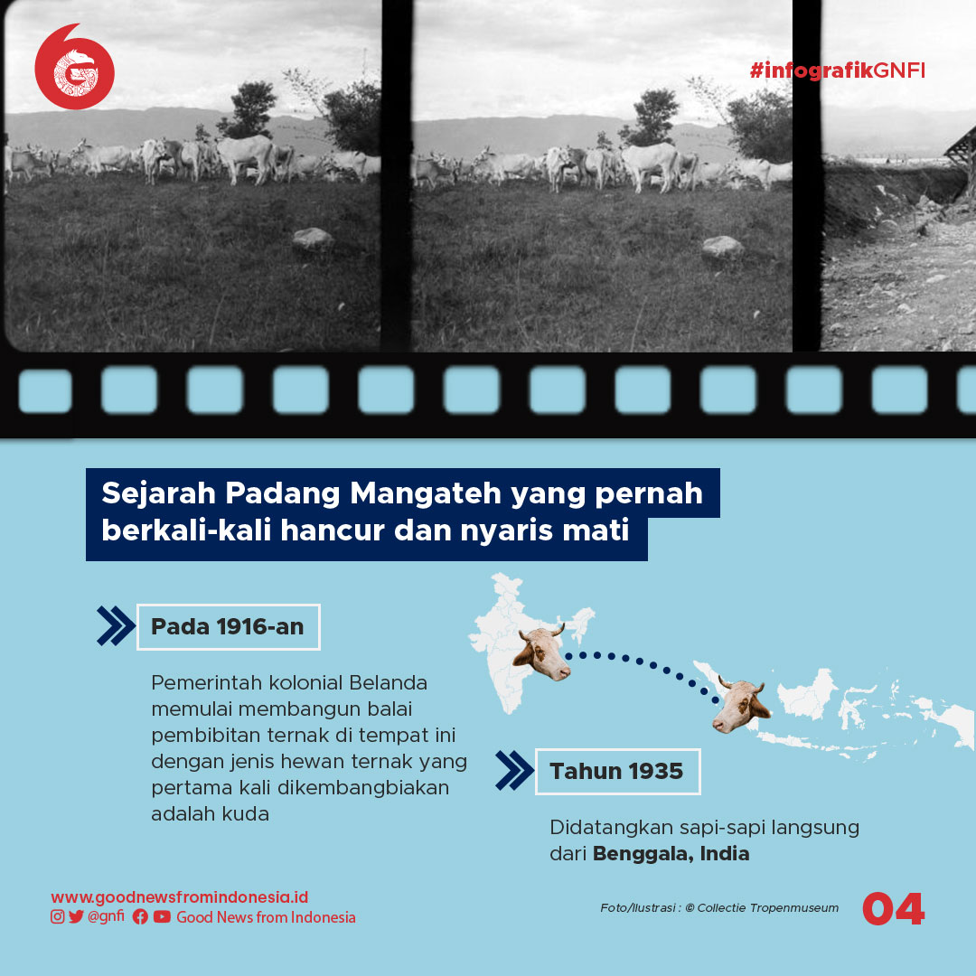 Padang Mangateh, Savana Sejuk yang Pernah Jadi Basis Pertahanan PRRI