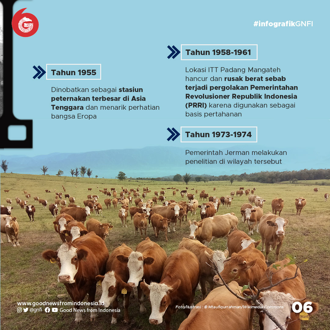 Padang Mangateh, Savana Sejuk yang Pernah Jadi Basis Pertahanan PRRI