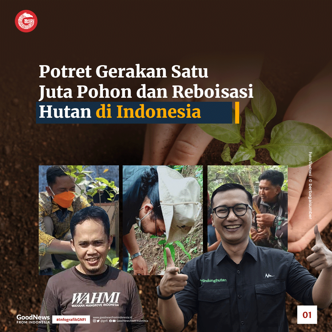 Potret Gerakan Satu Juta Pohon dan Reboisasi Hutan di Indonesia