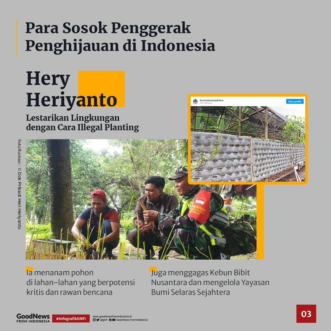 Potret Gerakan Satu Juta Pohon dan Reboisasi Hutan di Indonesia