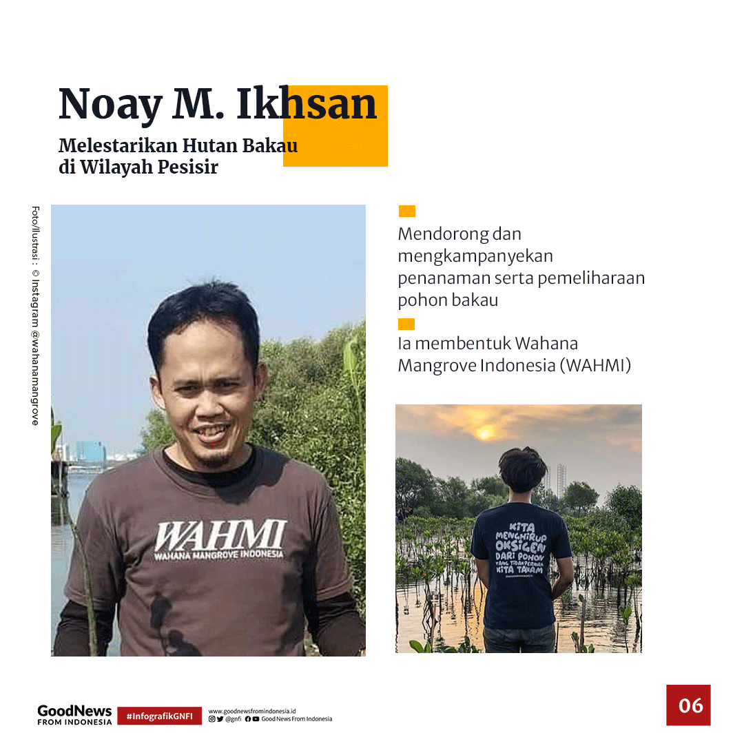 Potret Gerakan Satu Juta Pohon dan Reboisasi Hutan di Indonesia