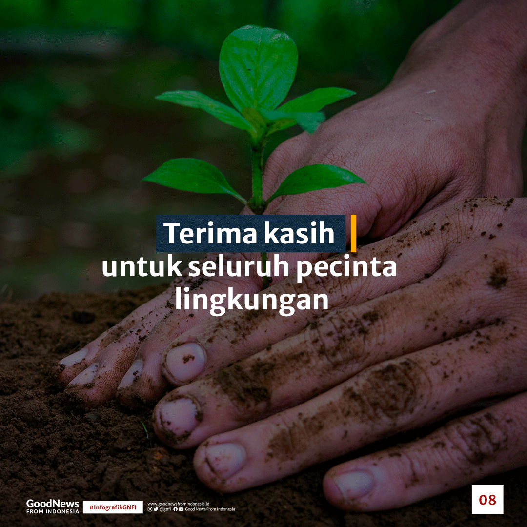 Potret Gerakan Satu Juta Pohon dan Reboisasi Hutan di Indonesia