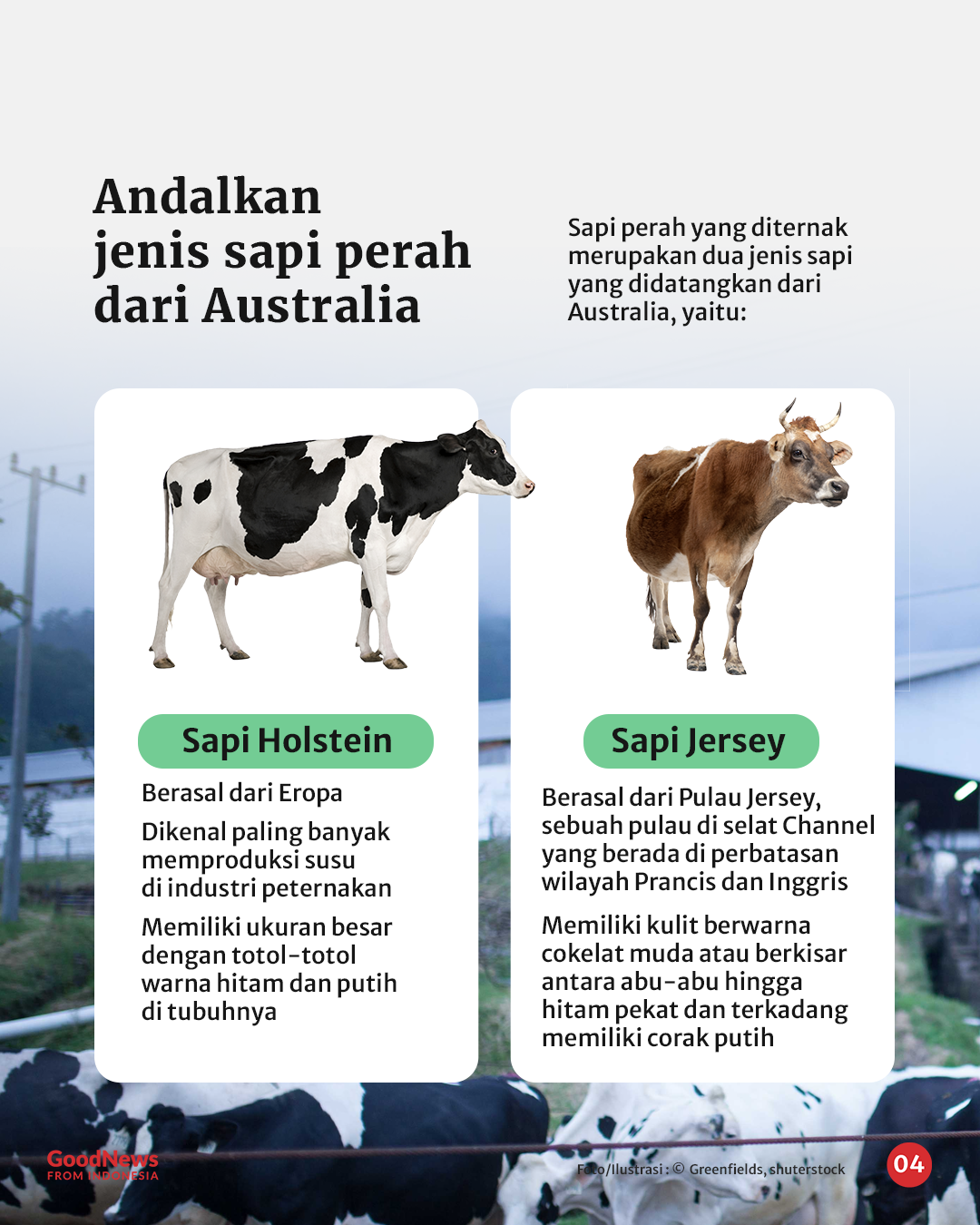 Riwayat Susu u2018Mewahu2019 Asal Malang yang Sering Dikira Produk Luar Negeri