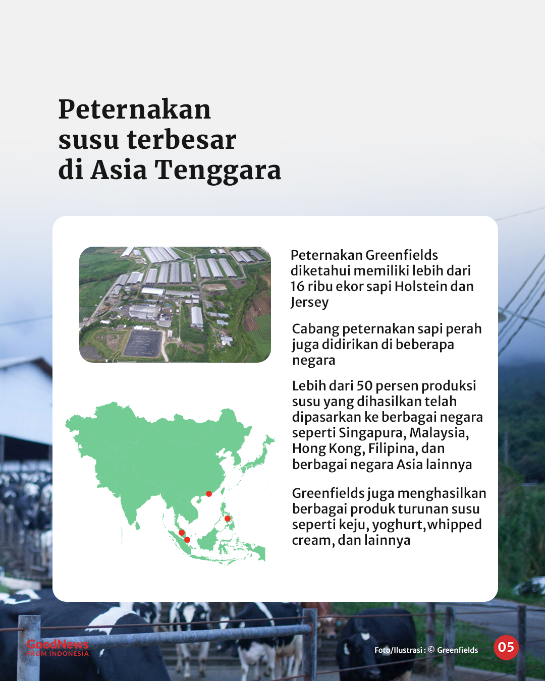 Riwayat Susu u2018Mewahu2019 Asal Malang yang Sering Dikira Produk Luar Negeri