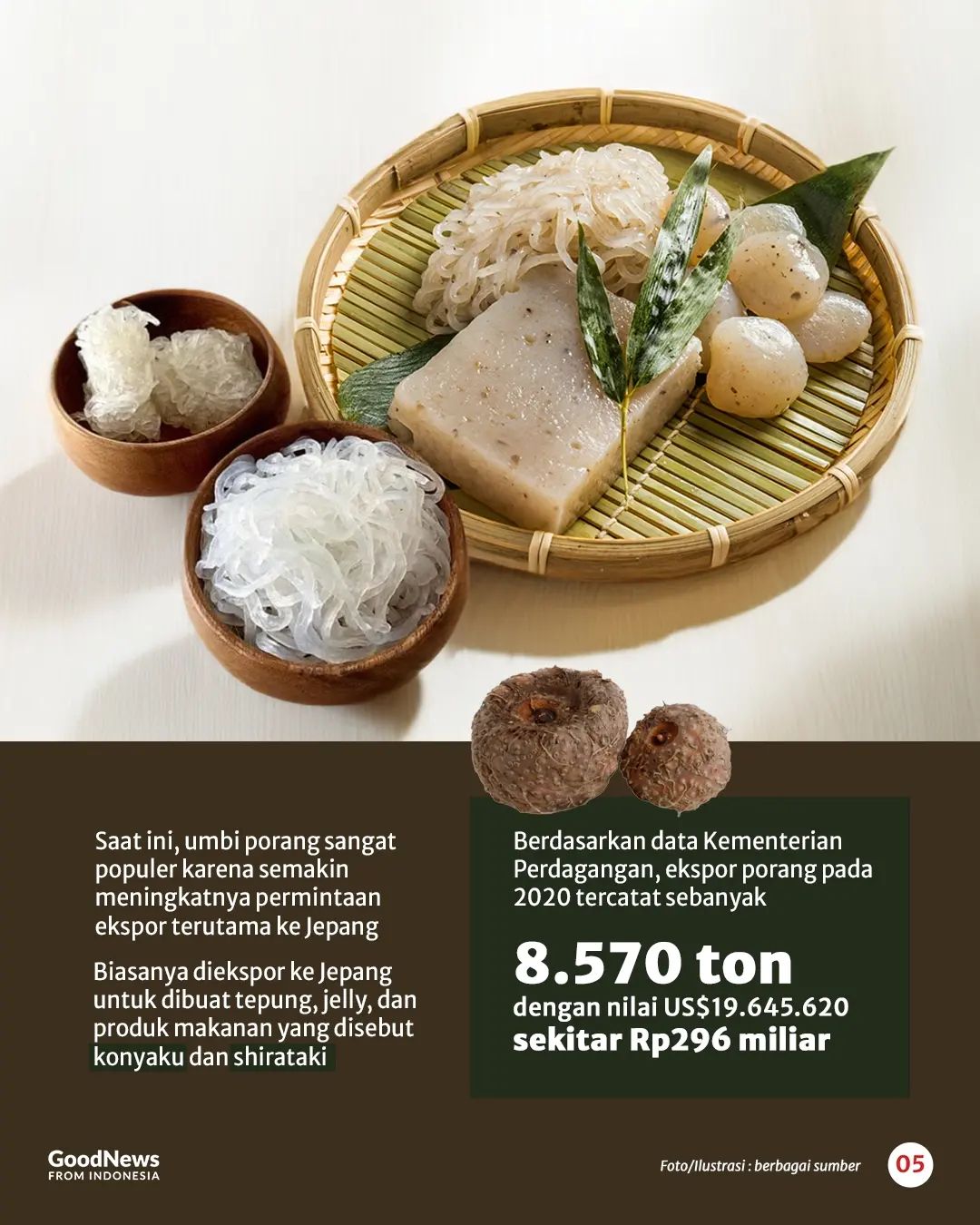 Tanaman Porang, Komoditas Bernilai Tinggi dari Indonesia