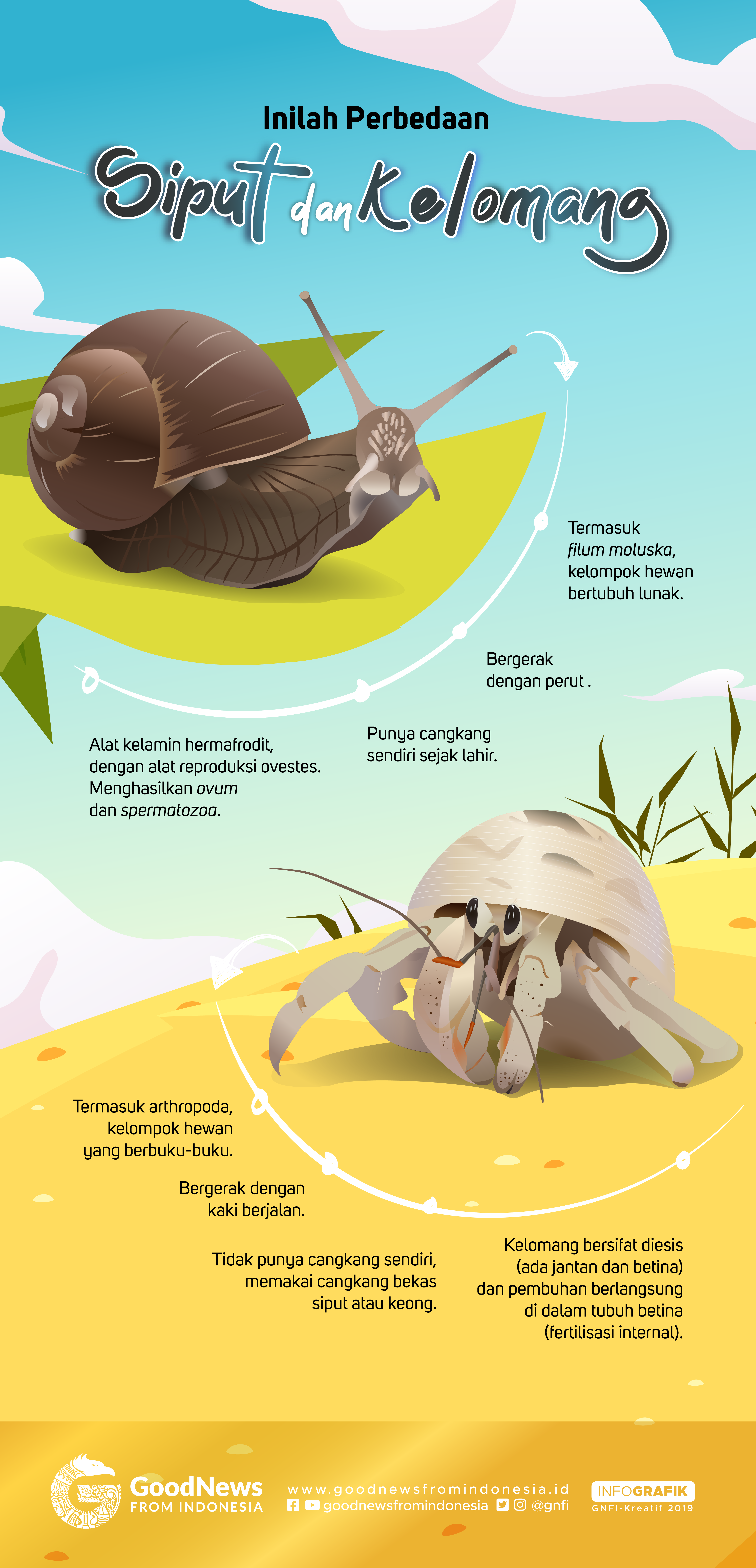 Inilah Perbedaan Siput dan Kelomang