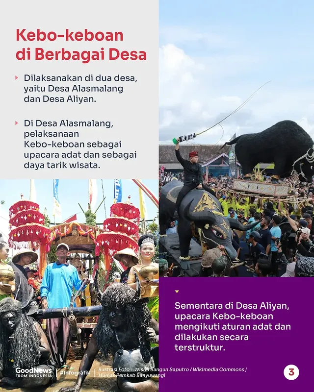 Kebo-keboan, Upacara Adat Masyarakat Banyuwangi yang Sarat Nilai Spiritual