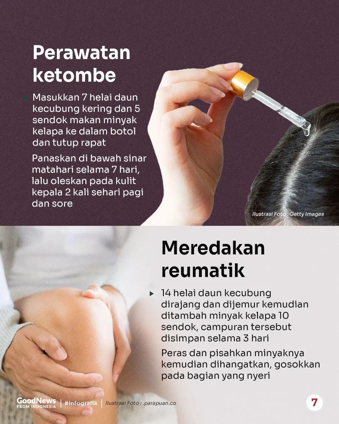 Kecubung, Tanaman Berbunga Terompet yang Menyebabkan Halusinasi