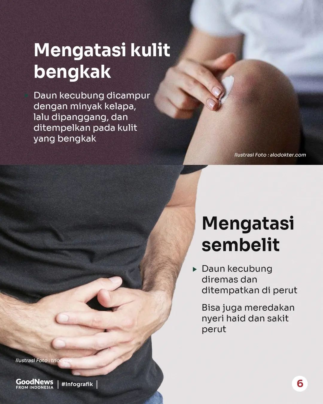 Kecubung, Tanaman Berbunga Terompet yang Menyebabkan Halusinasi
