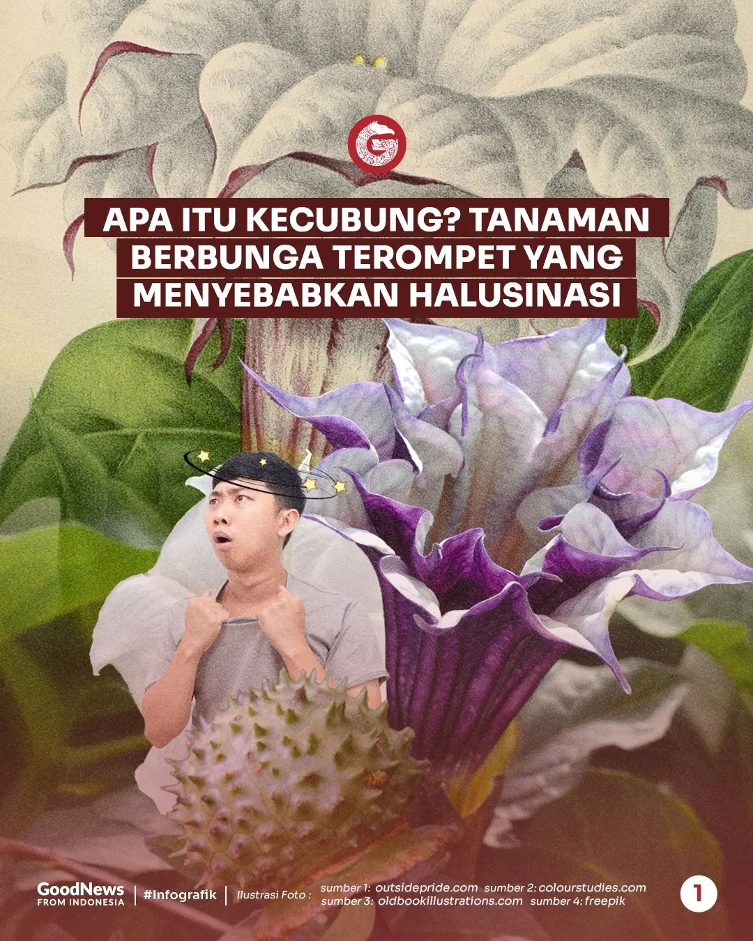 Kecubung, Tanaman Berbunga Terompet yang Menyebabkan Halusinasi