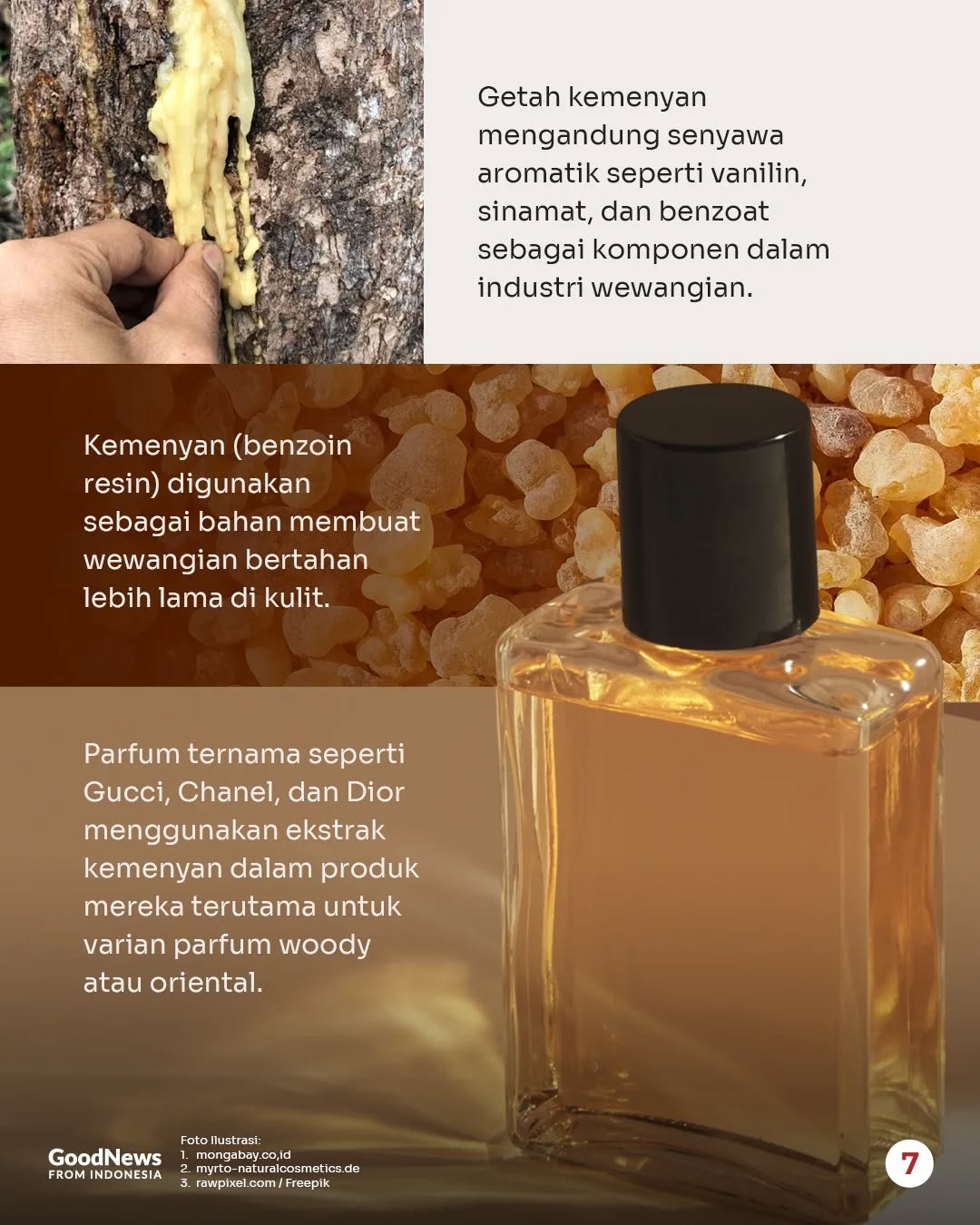 Kemenyan, Getah Tanaman yang Disebut Wapres Gibran Jadi Bahan Baku Parfum Mewah