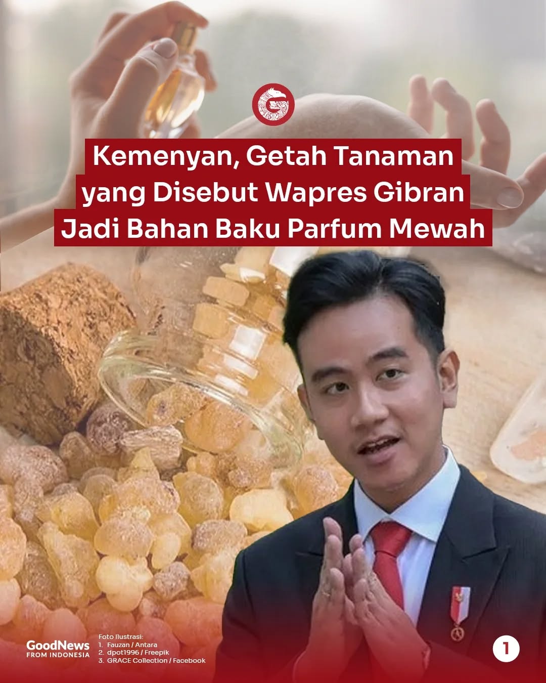 Kemenyan, Getah Tanaman yang Disebut Wapres Gibran Jadi Bahan Baku Parfum Mewah