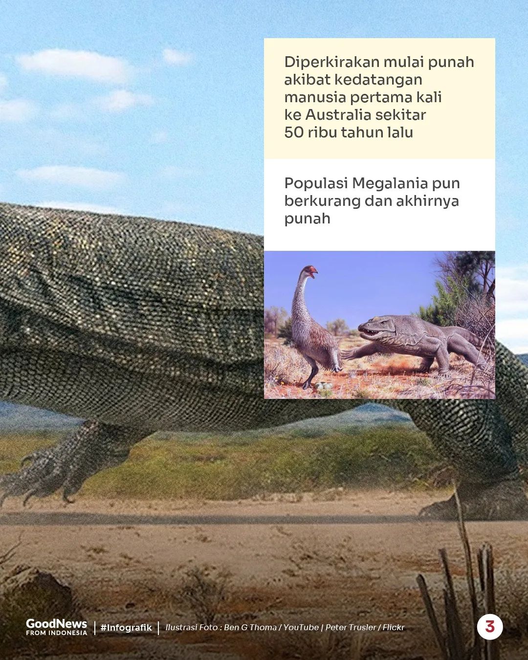 Megalinia, Kerabat Komodo yang Pernah Jadi Kadal Terbesar di Bumi