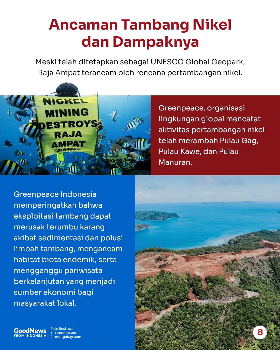 Mengapa Ekosistem Raja Ampat Perlu Dilindungi?