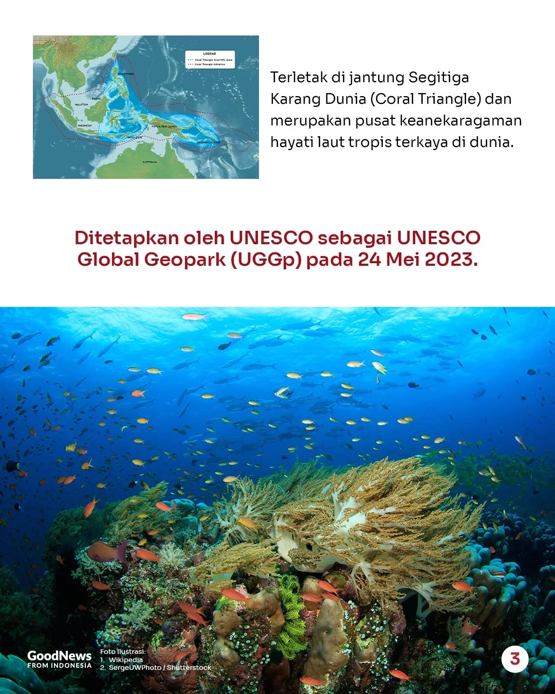 Mengapa Ekosistem Raja Ampat Perlu Dilindungi?