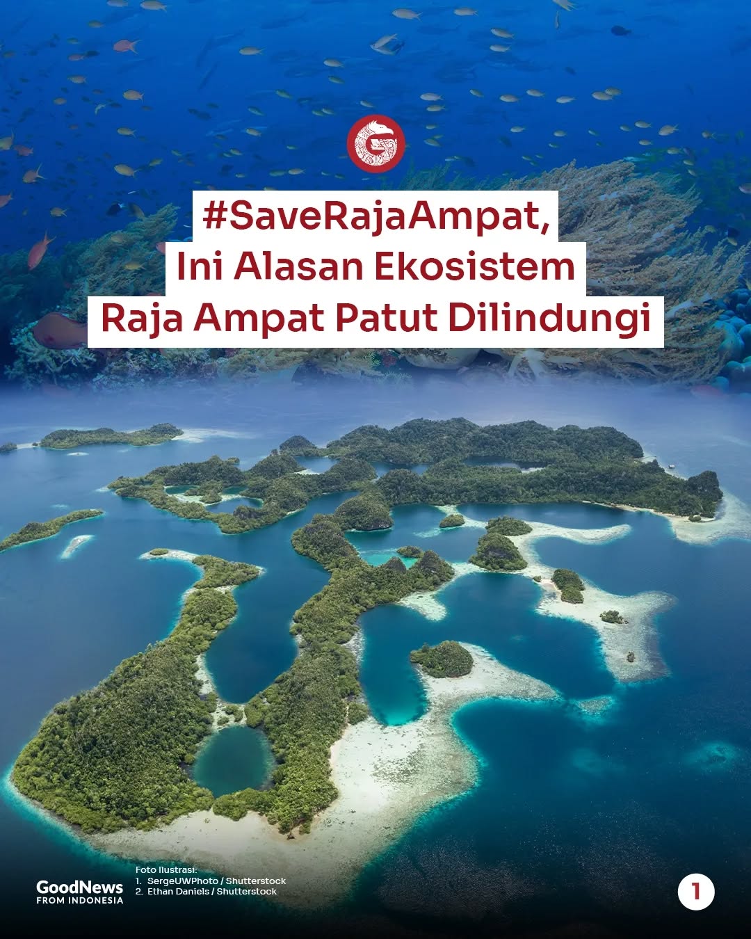 Mengapa Ekosistem Raja Ampat Perlu Dilindungi?