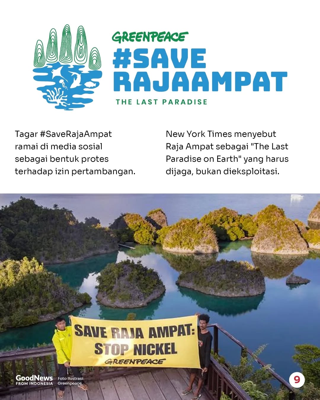 Mengapa Ekosistem Raja Ampat Perlu Dilindungi?