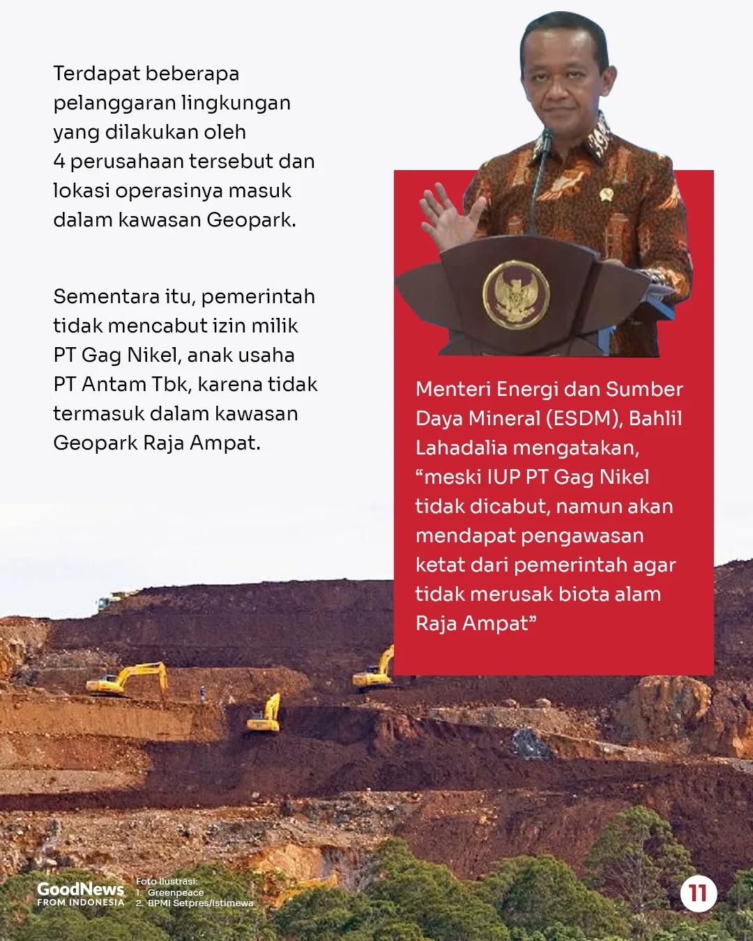 Mengapa Ekosistem Raja Ampat Perlu Dilindungi?